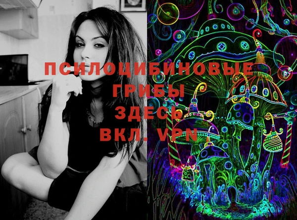 МДМА Лагань